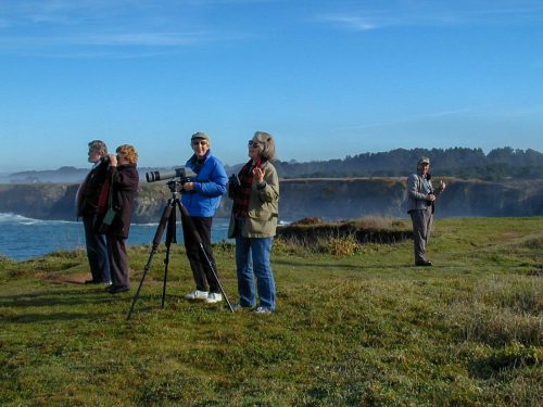 2003 Mendocino: Birding with John at dawn